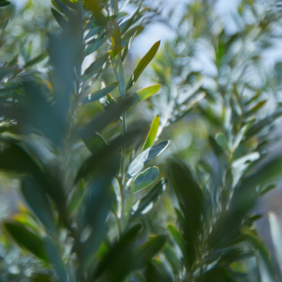 VapeMania恵比寿｜テラス席